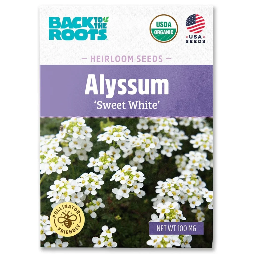 Back to The Roots Organic Alyssum Seeds