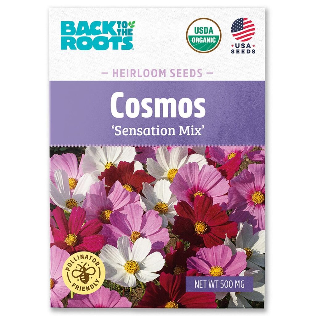 Back to the Roots Organic Cosmos Seeds