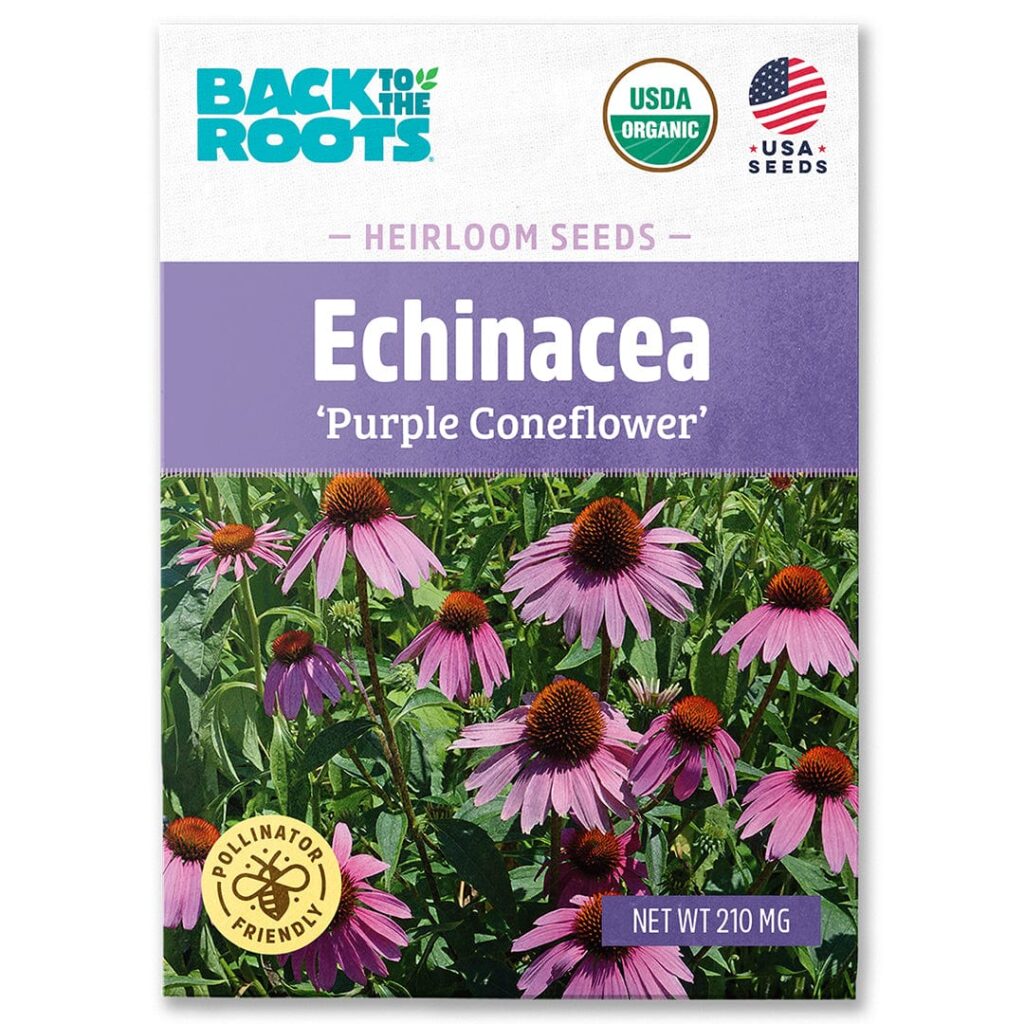 Back to the Roots Organic Echinacea Seeds