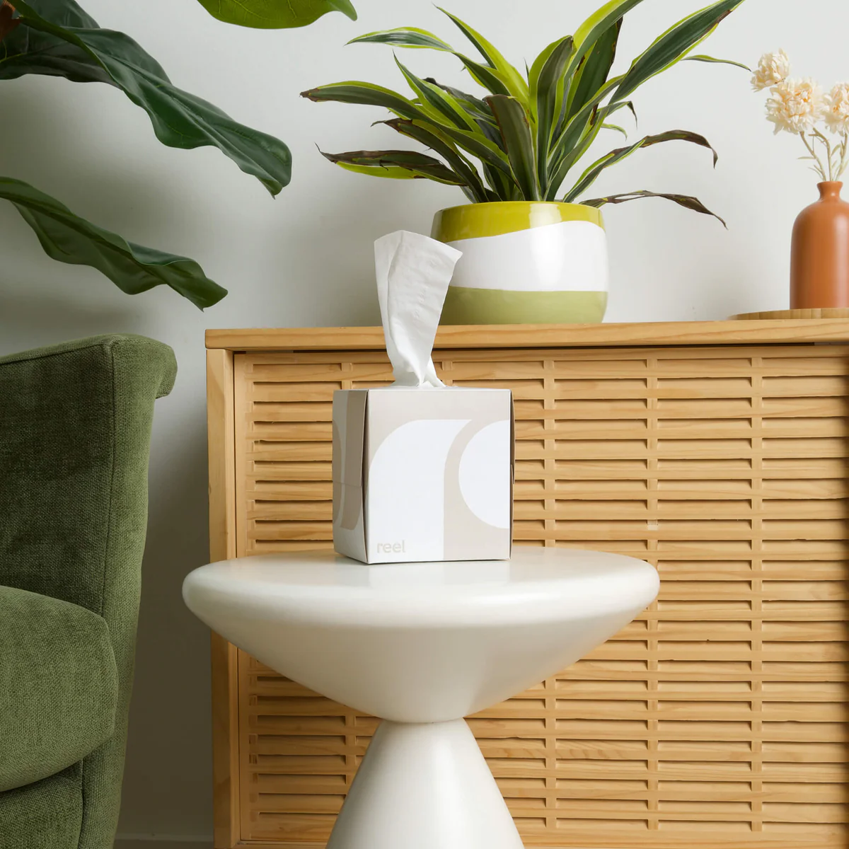 Reel Bamboo Facial Tissues review and promo code