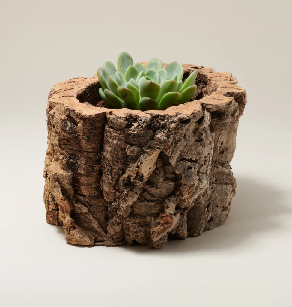 Tiradia Cork Planter