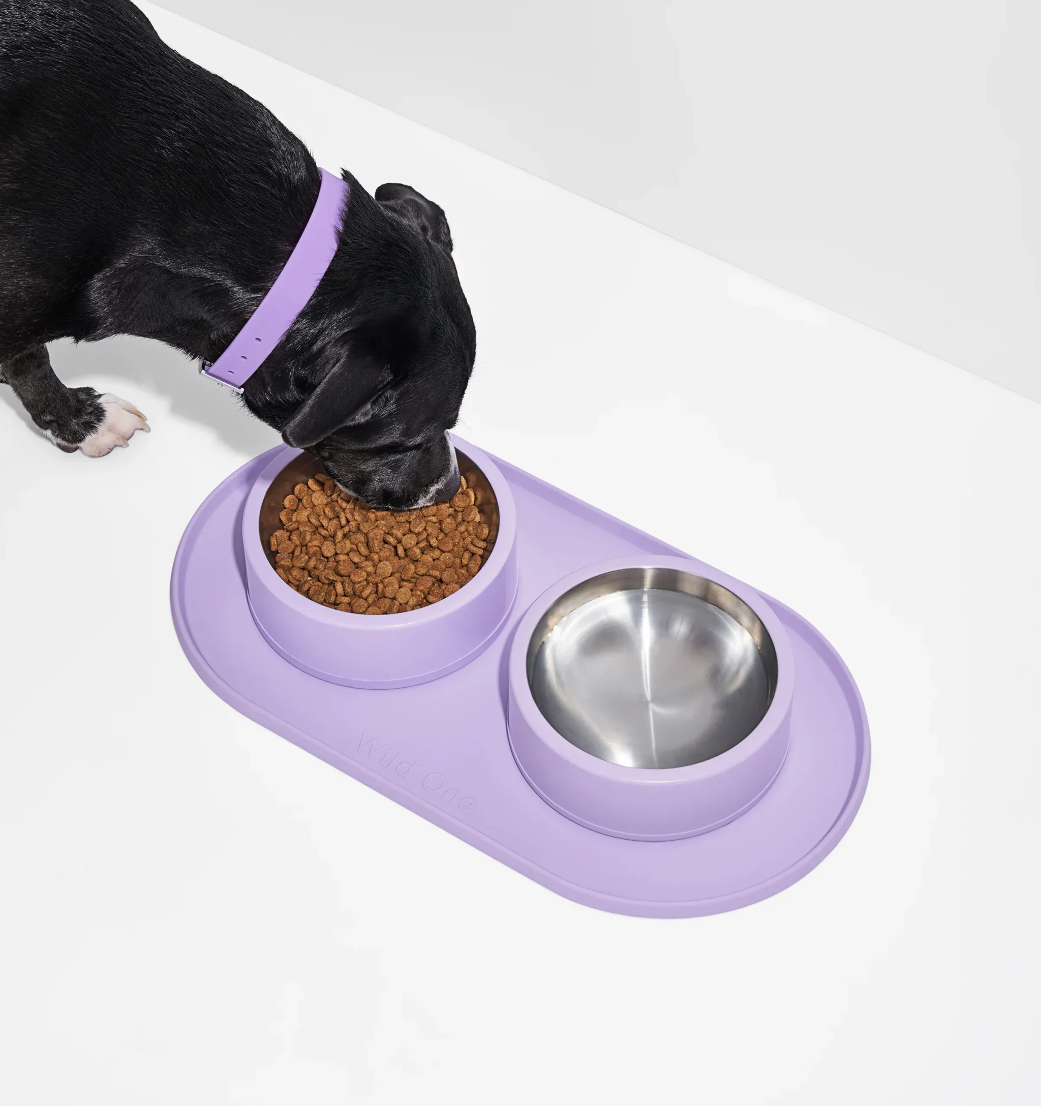 Wild One Dog Bowl Mat