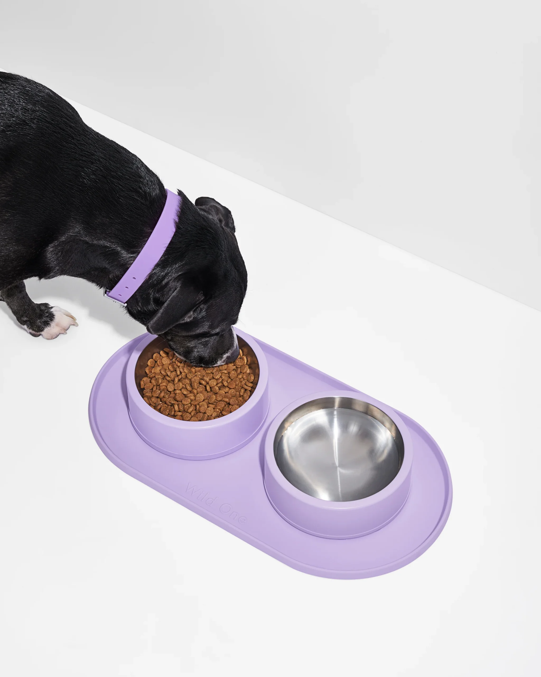 Wild One Dog Bowl Mat