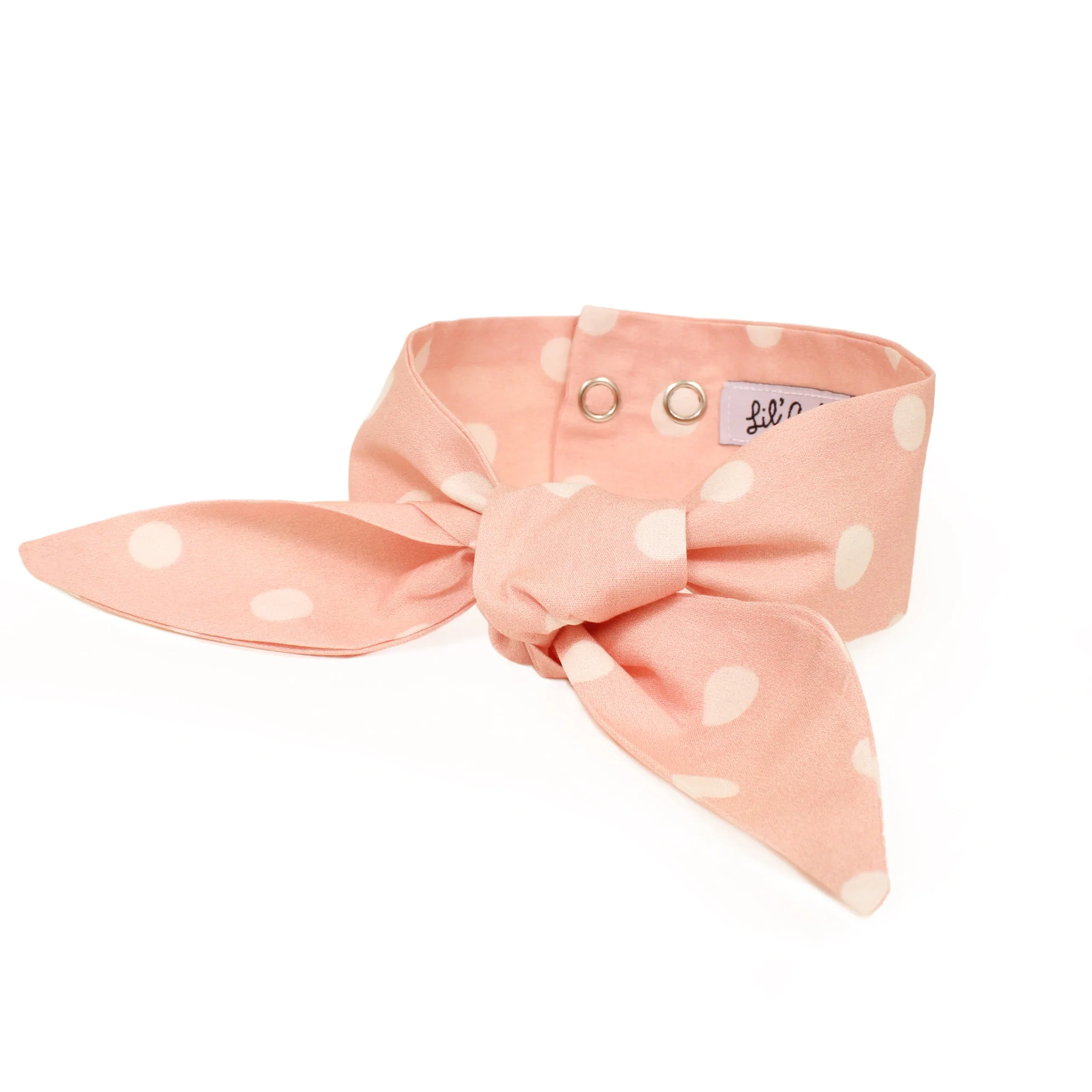 Lil' Archie's Frenchie Twist Dog Necktie