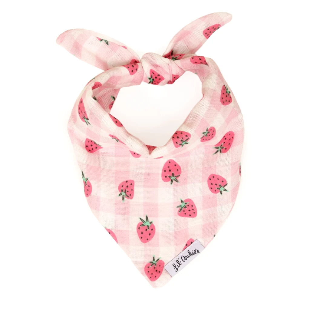 Lil' Archie's Organic Bandanas, GOTS certified organic, pink, strawberry pet bandana