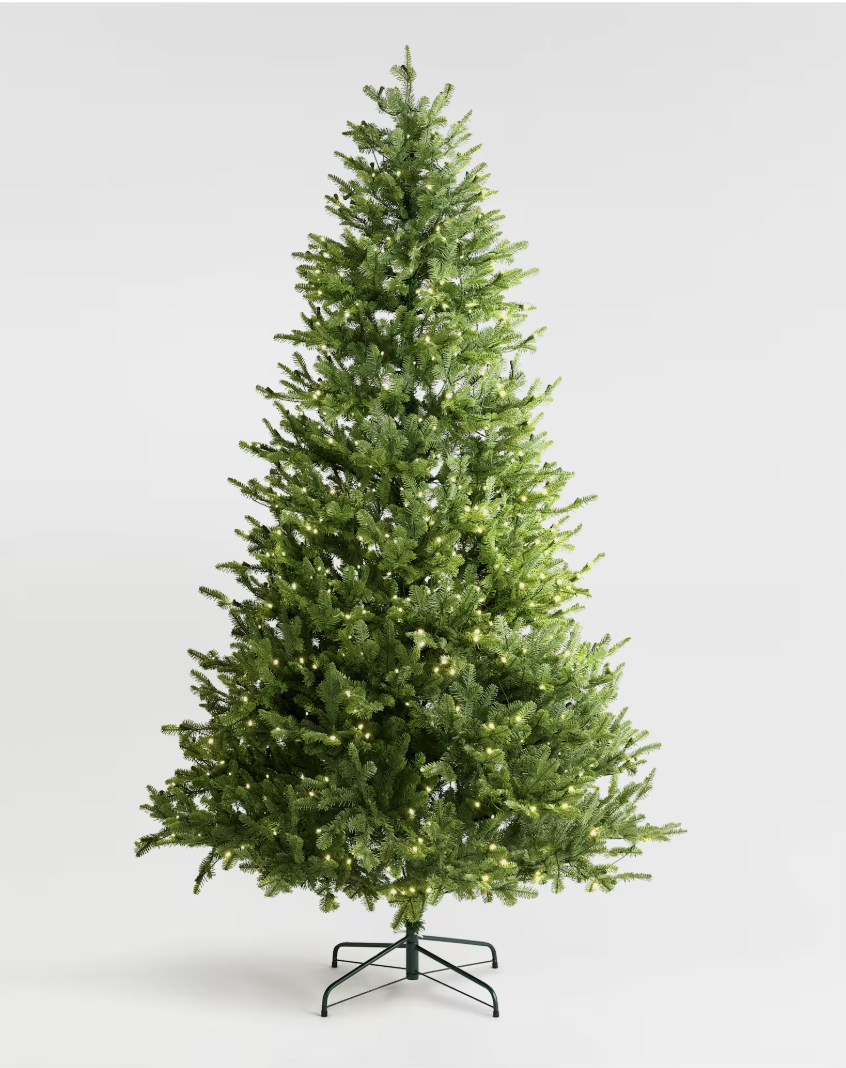 Quince Sustainable Fraser Fir Christmas Tree review