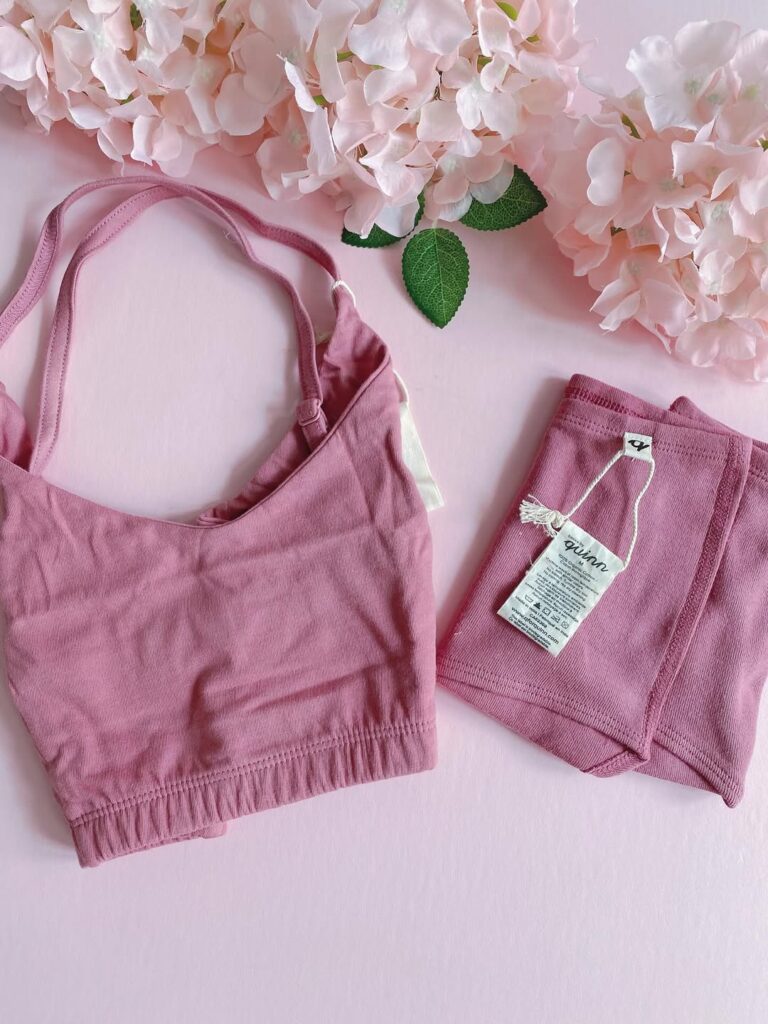 Q for Quinn Organic plant dyes set