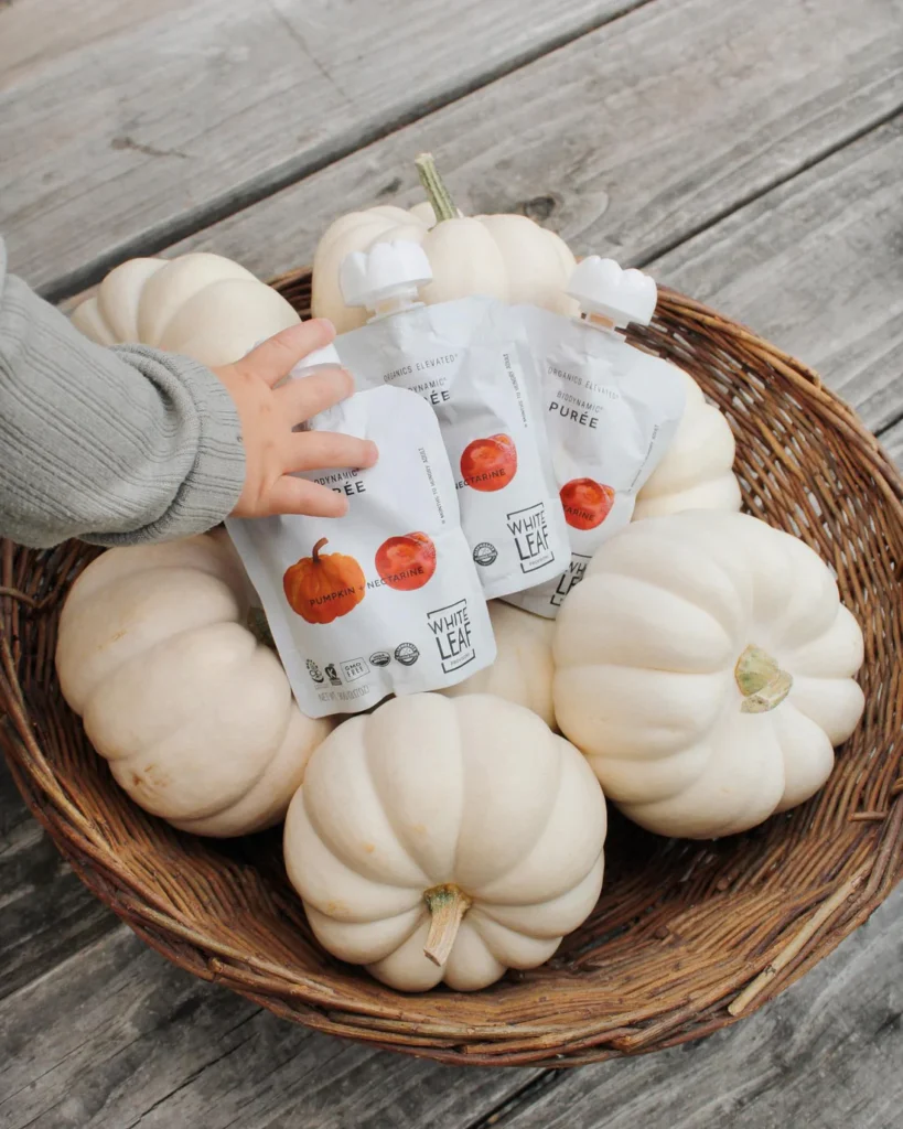 White Leaf Provision Organic Pumpkin Puree review and promo code