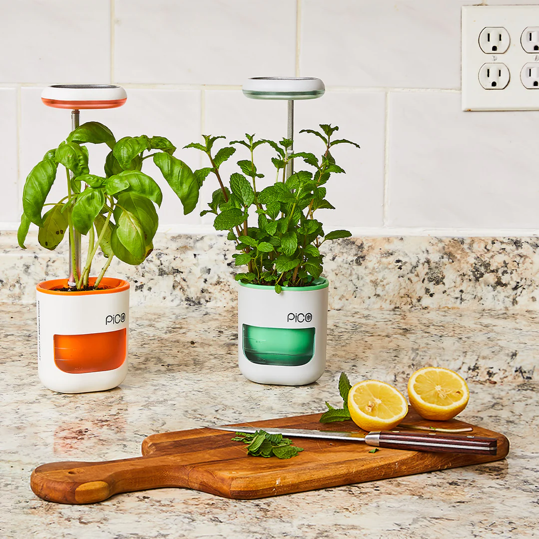 Altifarm Enverde review