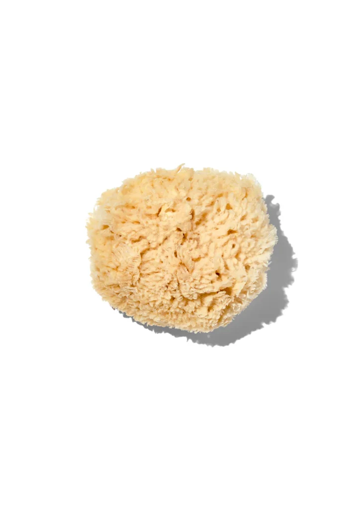 California Baby Organic Sponge review