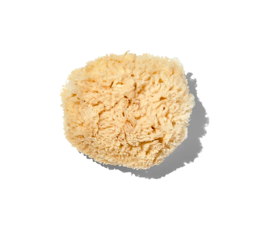 California Baby Organic Sponge review