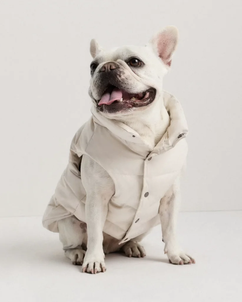 Quince Pet Wear
