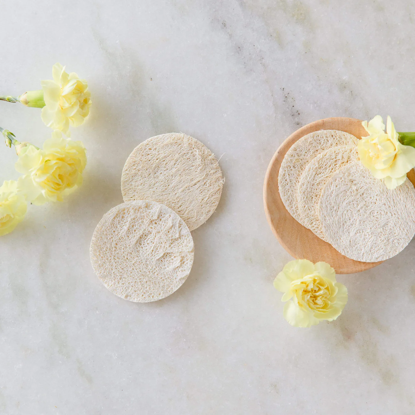 ZeroWasteStore Loofah Facial Disc