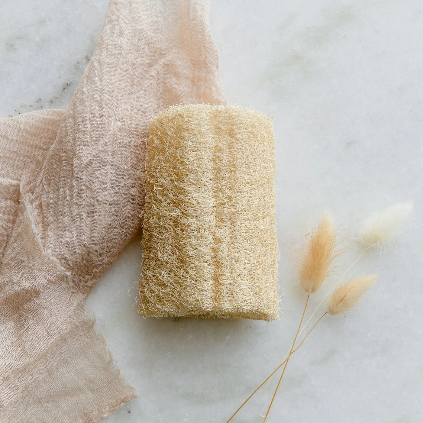 ZeroWasteStore Loofah Sponge
