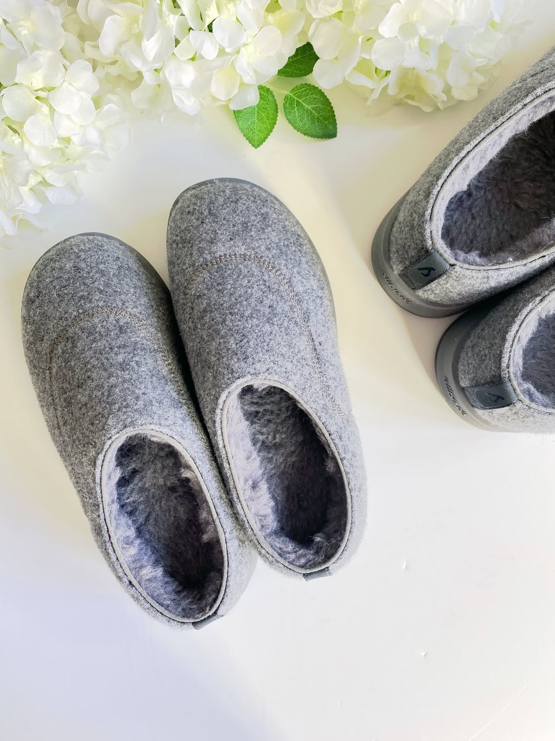 Allbrids organic slippers review