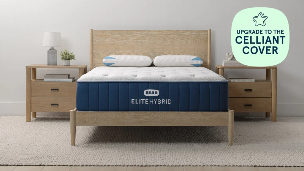 Bear Mattress review