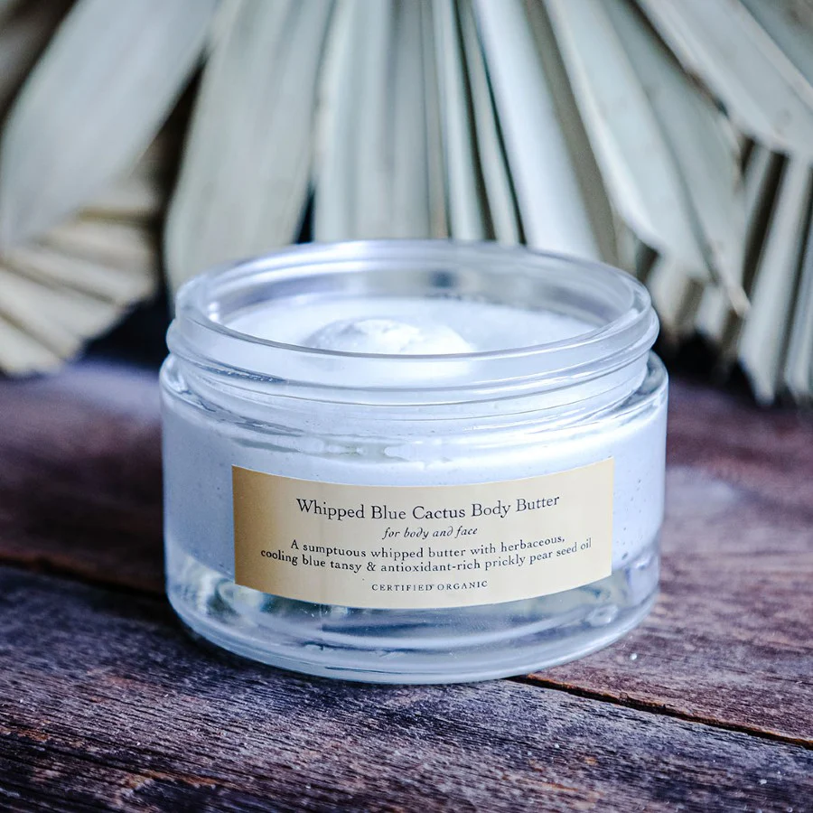 Evanhealy Whipped Blue Cactus Body Butter review