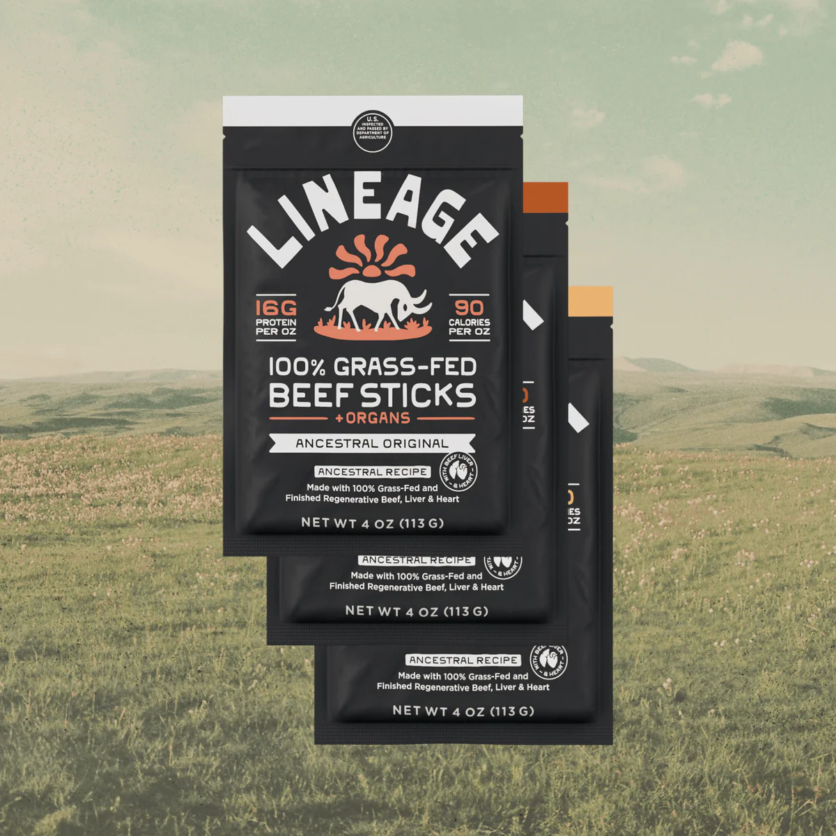 Lineage Beef Sticks review and promo code
