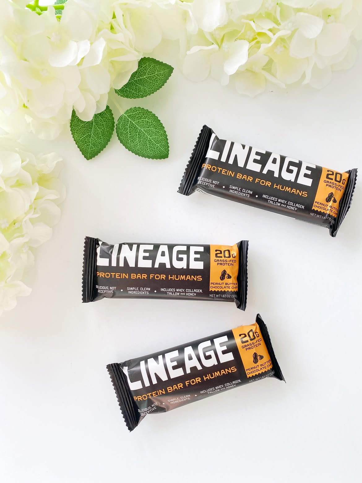 Lineage protein food bar review