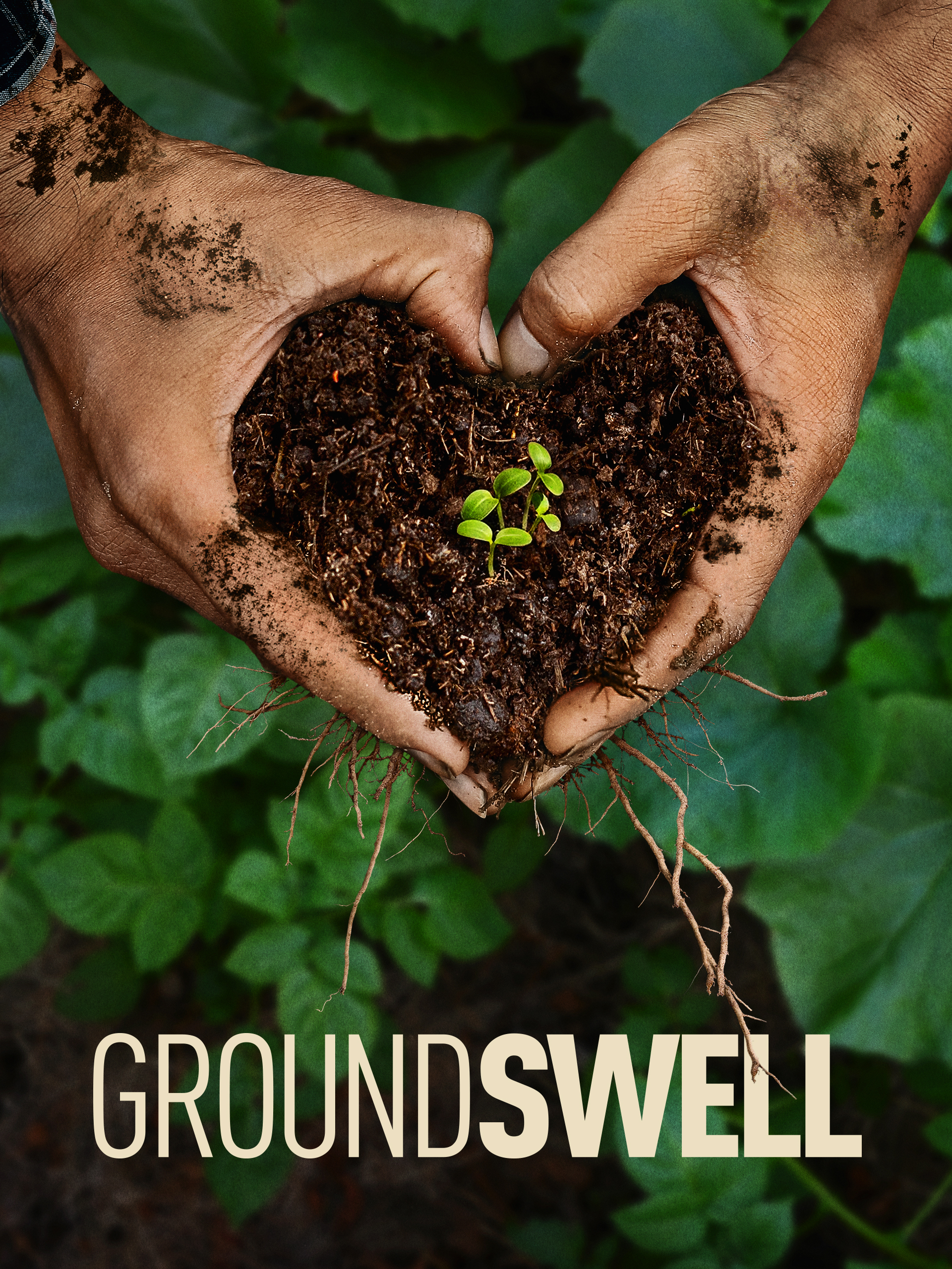 Groundswell documentary review