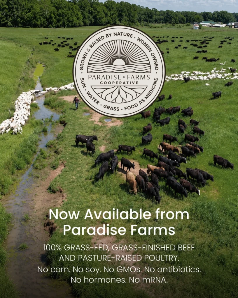 Paradise Farms, Miami and Florida, organic and regenerative farms and food