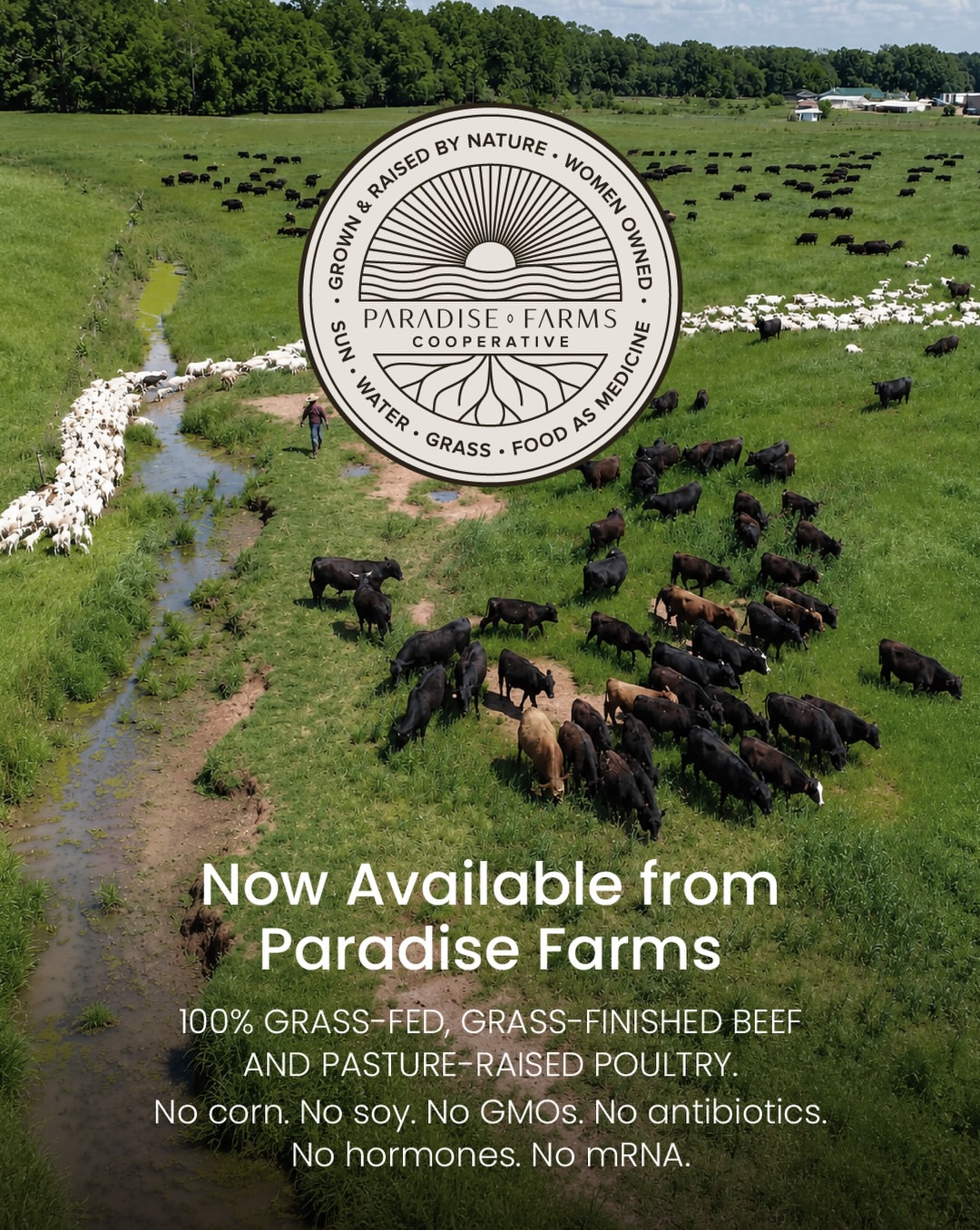 Paradise Farms, Miami and Florida, organic and regenerative farms and food
